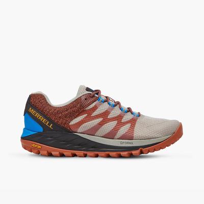 Merrell Antora 2 Trailskor Dam Oyster (SE937065)